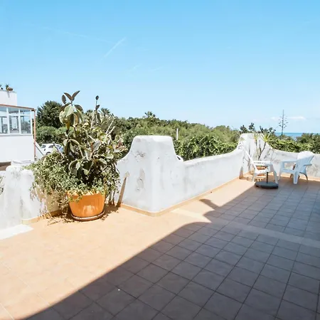 Lejlighed Beachfront